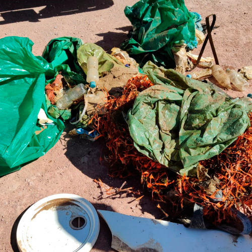 Campaña de limpieza